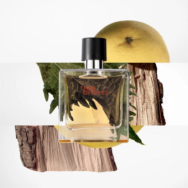 TERRE D’HERMÈS - Eau de Toilette